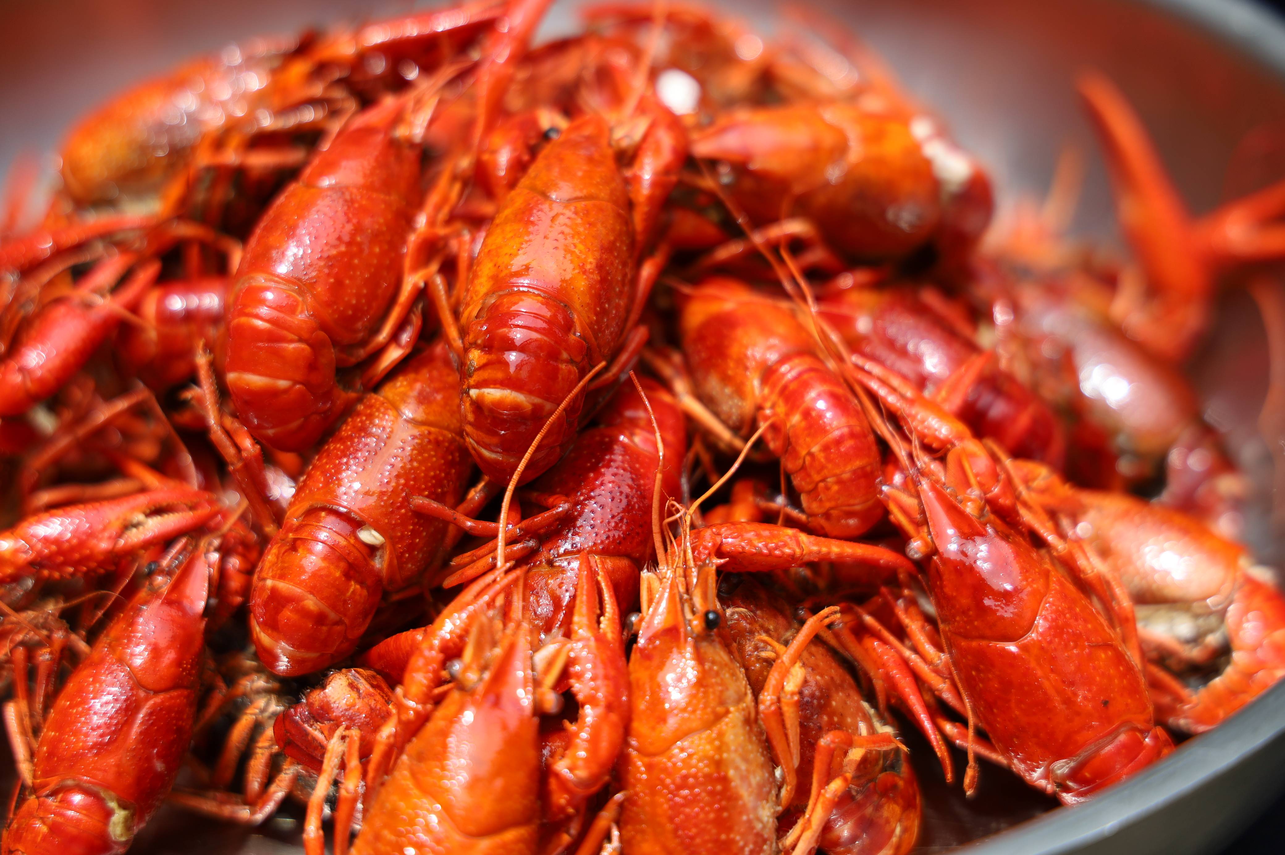 层次丰富的味道透彻的渗透进每一只小龙虾的肉里,使得虾肉吃起来更加