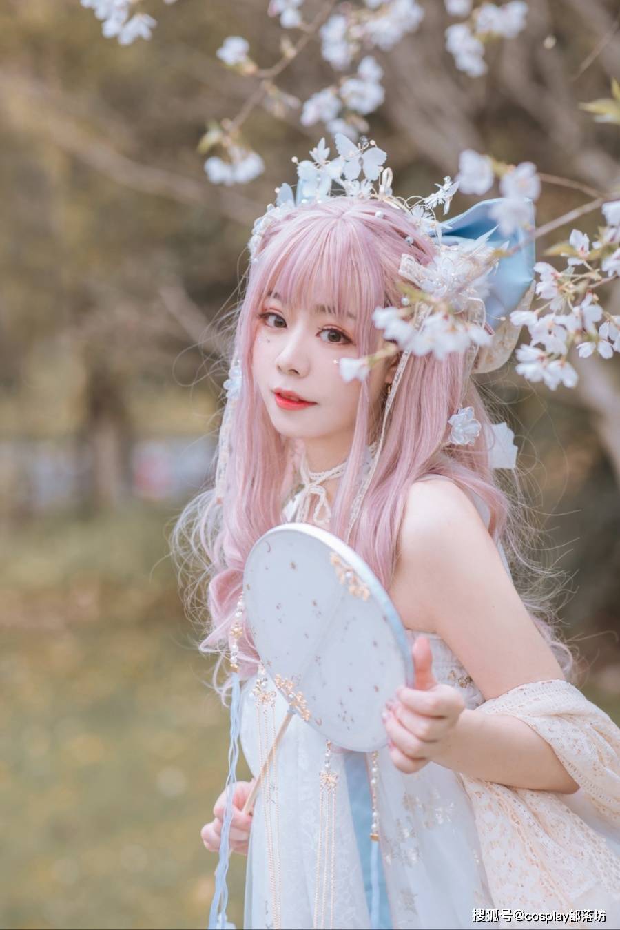 lolita櫻花雨中的洛麗塔少女