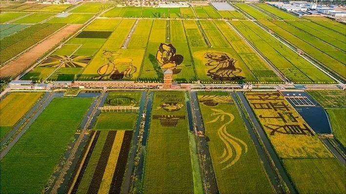 赵建文:一位磨坊老板如何用8年时间打造风靡全国的稻渔空间