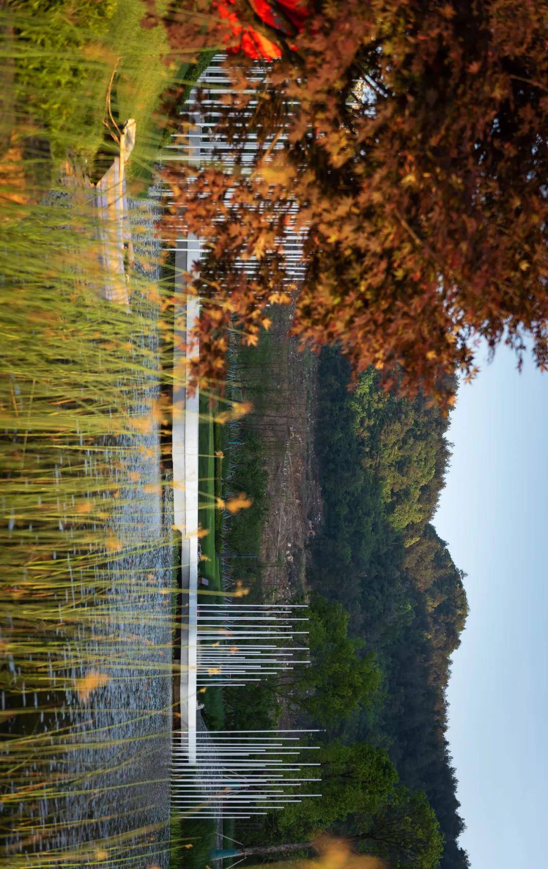 龙里阳光城望乡图片