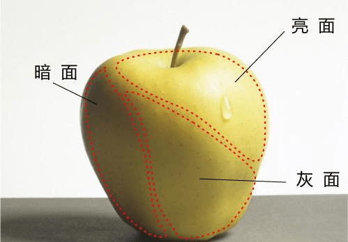 校尉美术教你——明暗五大调,三大面关系认识!