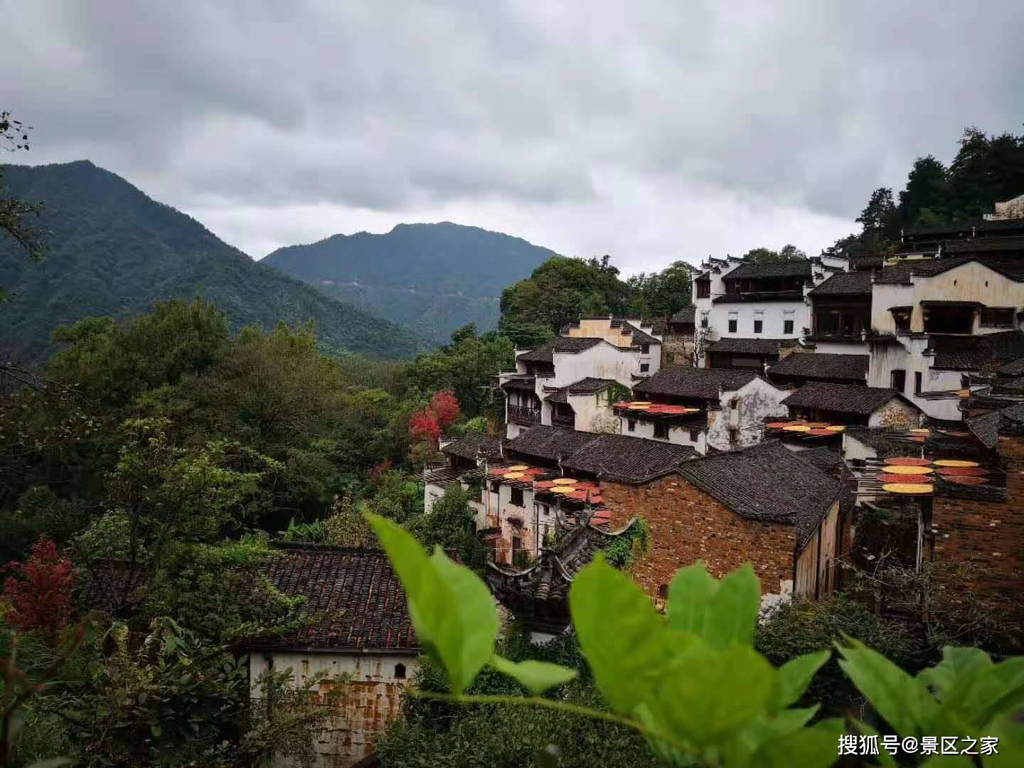 引進力度有限,導致村集體旅遊開發公司的旅遊開發,經營管理人才奇缺