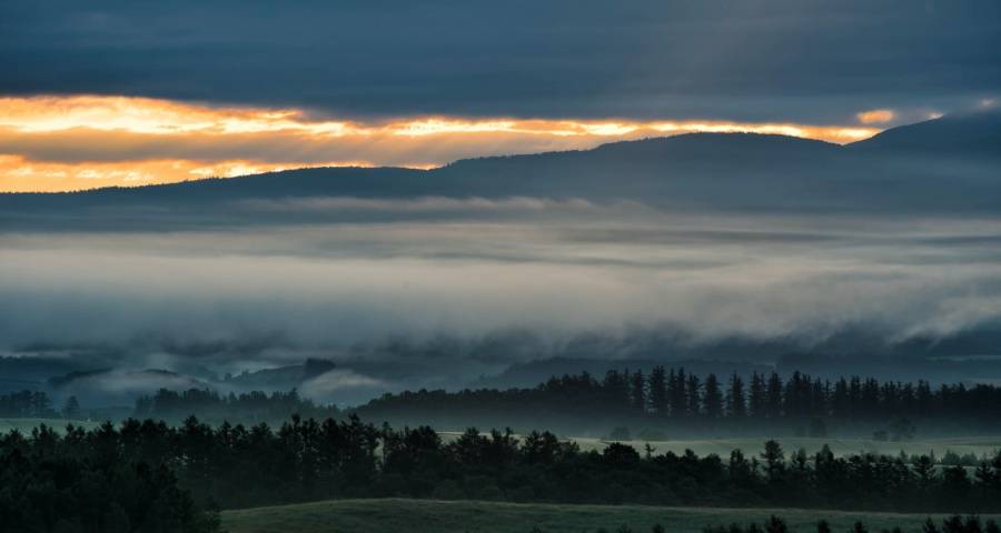 市场风云变幻打乱家电厂商经营节奏-家电圈官网
