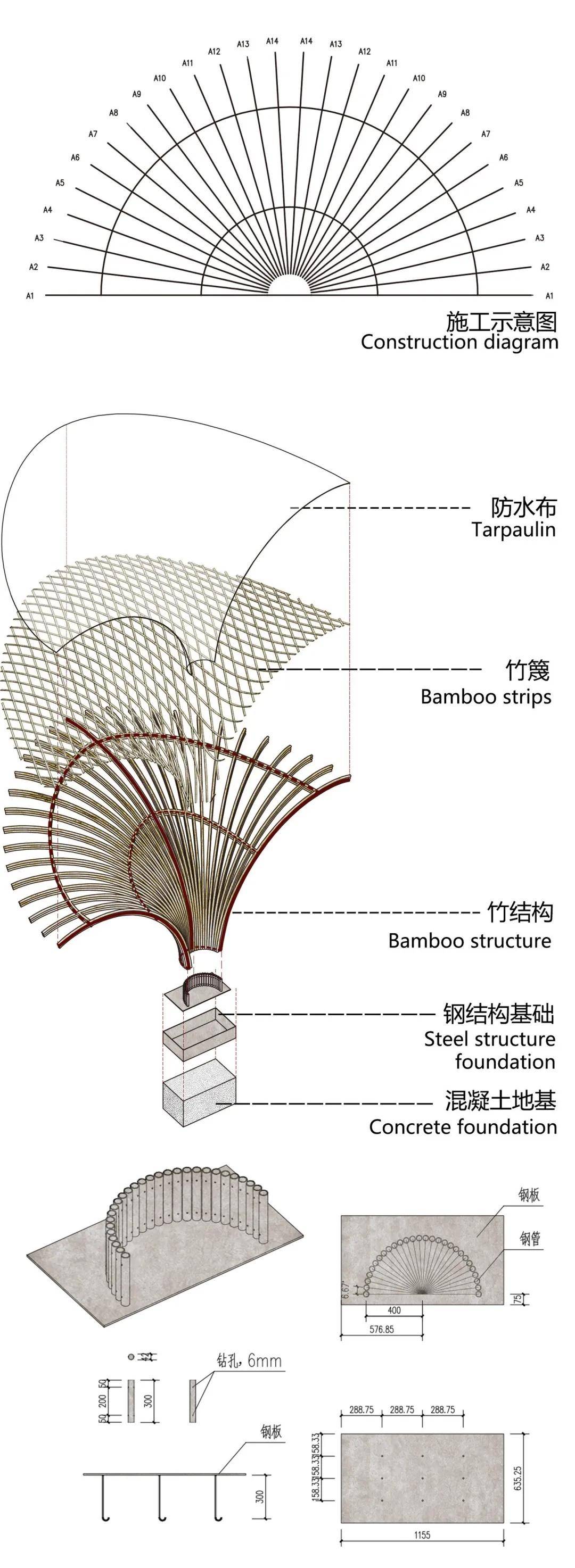 竹子结构示意图图片