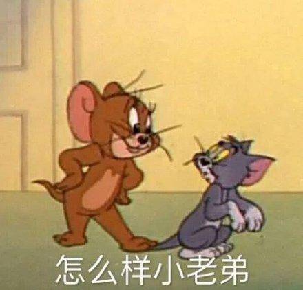 猫和老鼠表情包合集|不服你顺着网线来打我啊