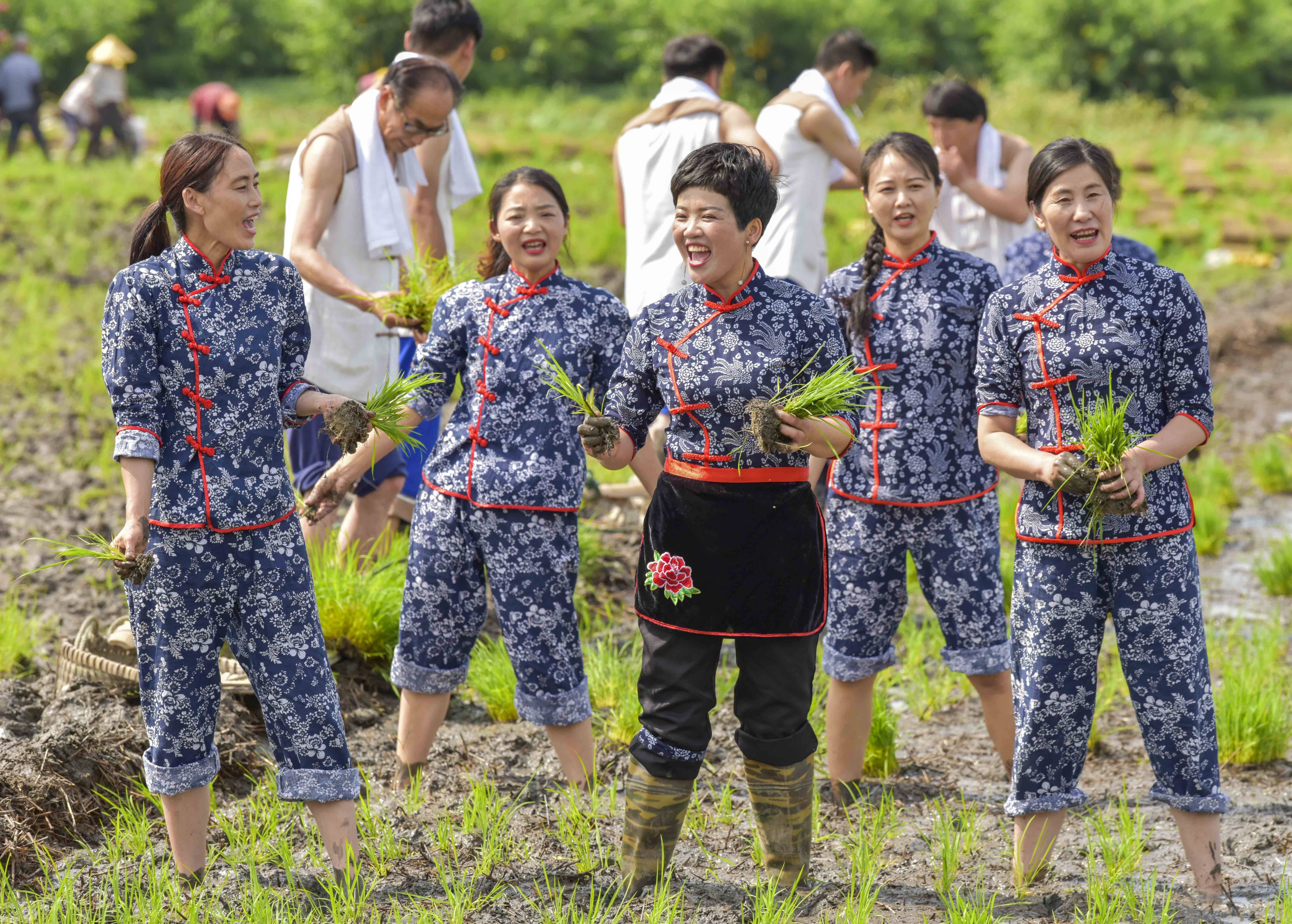 江苏泰州:非遗传承人走进田间唱响"茅山号子"