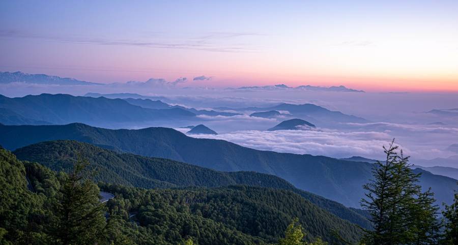 电商又杀出一匹黑马，代理商路到尽头，家电业意外频出！-家电圈官网