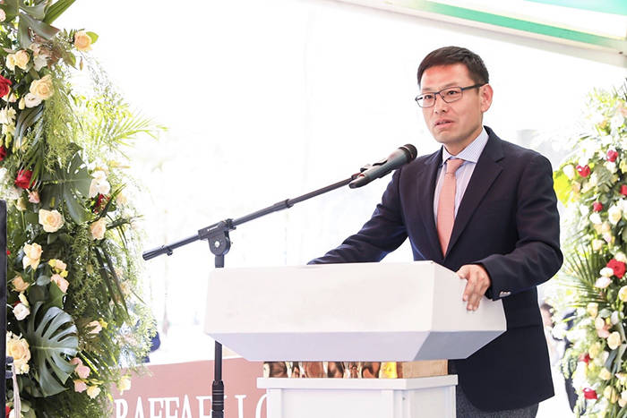 拉斐尔的艺术:不可能的相遇