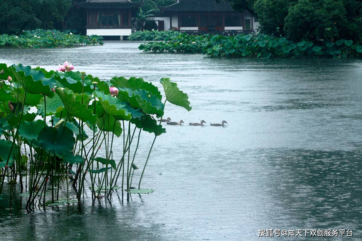 美文欣賞|難得糊塗!