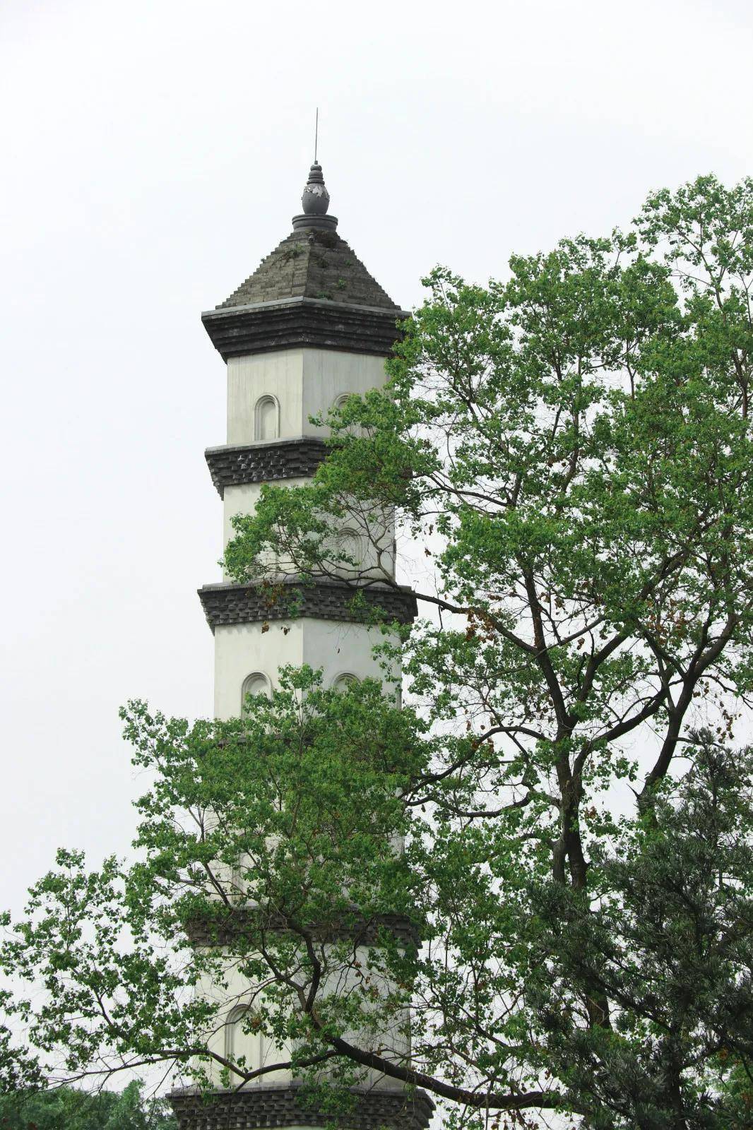 成都最有元气街区pk,我选青羊