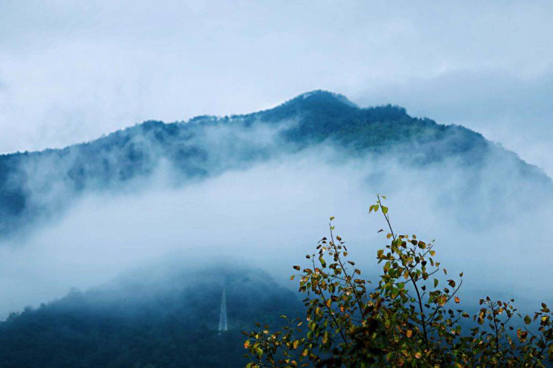 一卷书人闲桂花落夜静春山空