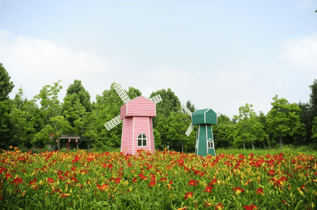 夏至已至,傾聽綠博園內的夏日私語