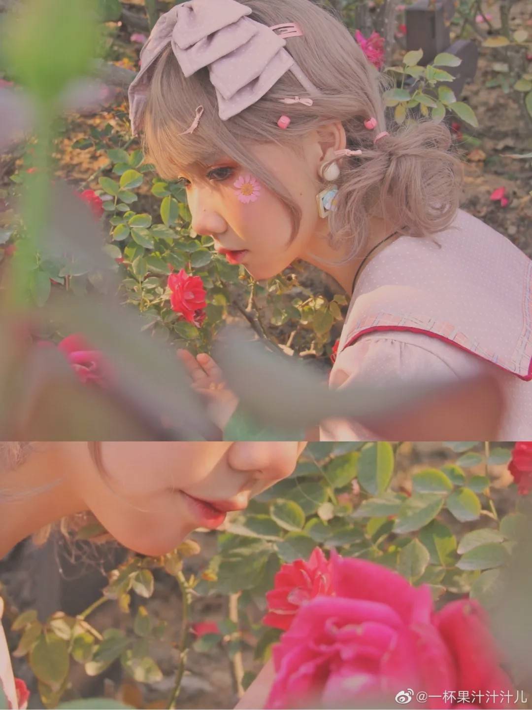 lolita:安妮的早餐