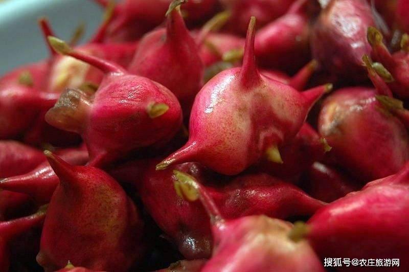 八角红菱:是菱角一种,其中又以八角红菱最优,鲜嫩时味甘美,可作水果生