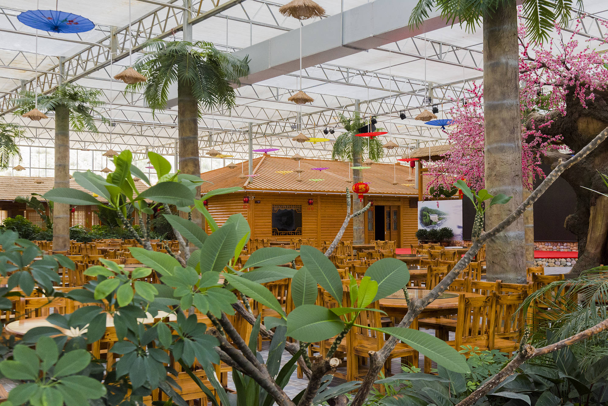 原创江西赣州全南县竟然是广东人的菜篮子?广东人不信,看完后被震撼了