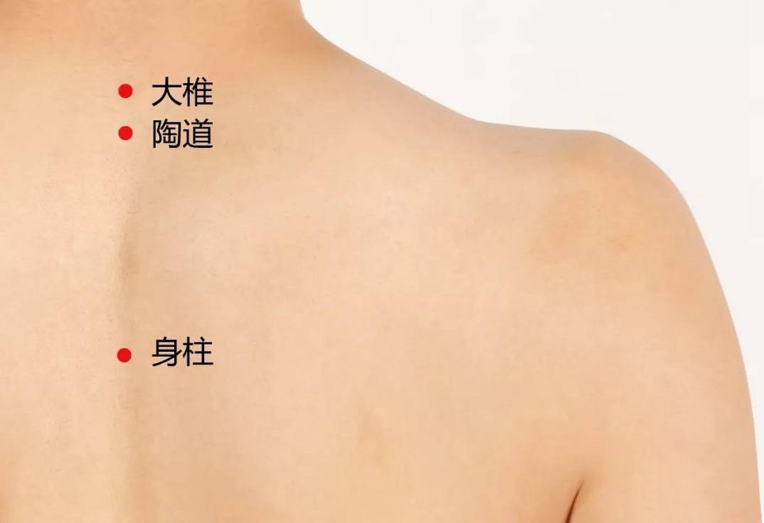 三伏灸…….有你不知道的秘密