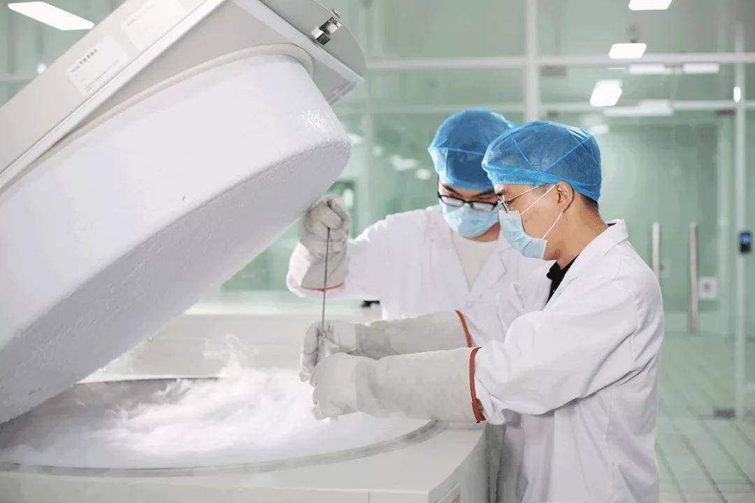 怎样选择一家靠谱的细胞储存机构?