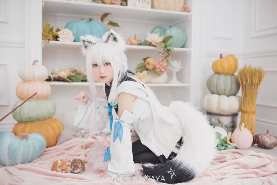 cosplay:白上吹雪@小木曾aya