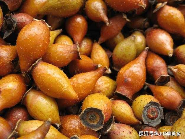 生长在农村的山间野果作药用可抗菌降压等作用你认识吗