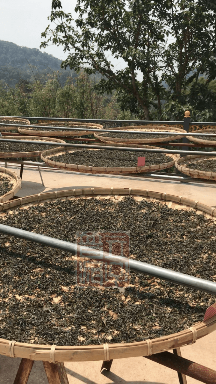 你说普洱茶没有收藏价值?说真的,你喝的可能不是普洱茶