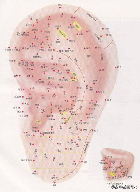 耳穴诊治技术的现状:耳穴诊断的方法与手段,你所不知道的知识