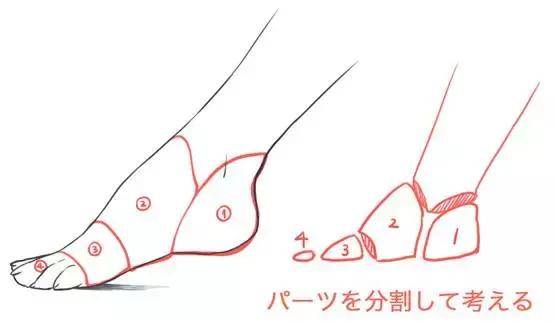 超全面的漫画人物脚部图文教程_脚趾