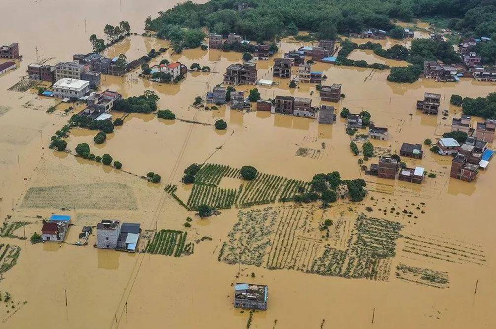洪灾前的思考:面对频发的自然灾害,我们能买什么保险?
