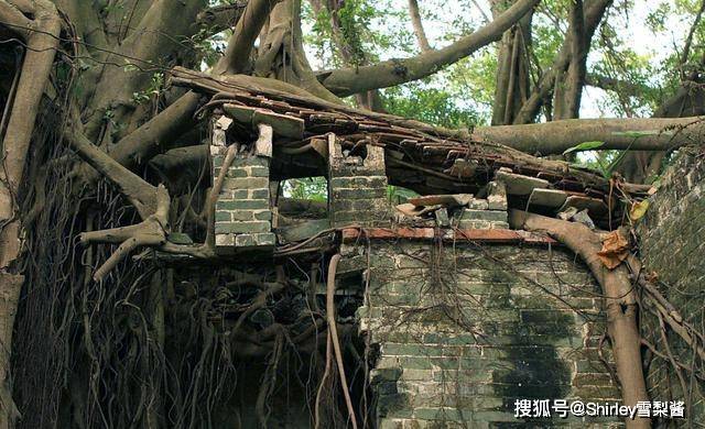 中国最恐怖无人村,荒废20年画风阴森诡异,6点前游客必须离开_邓边村