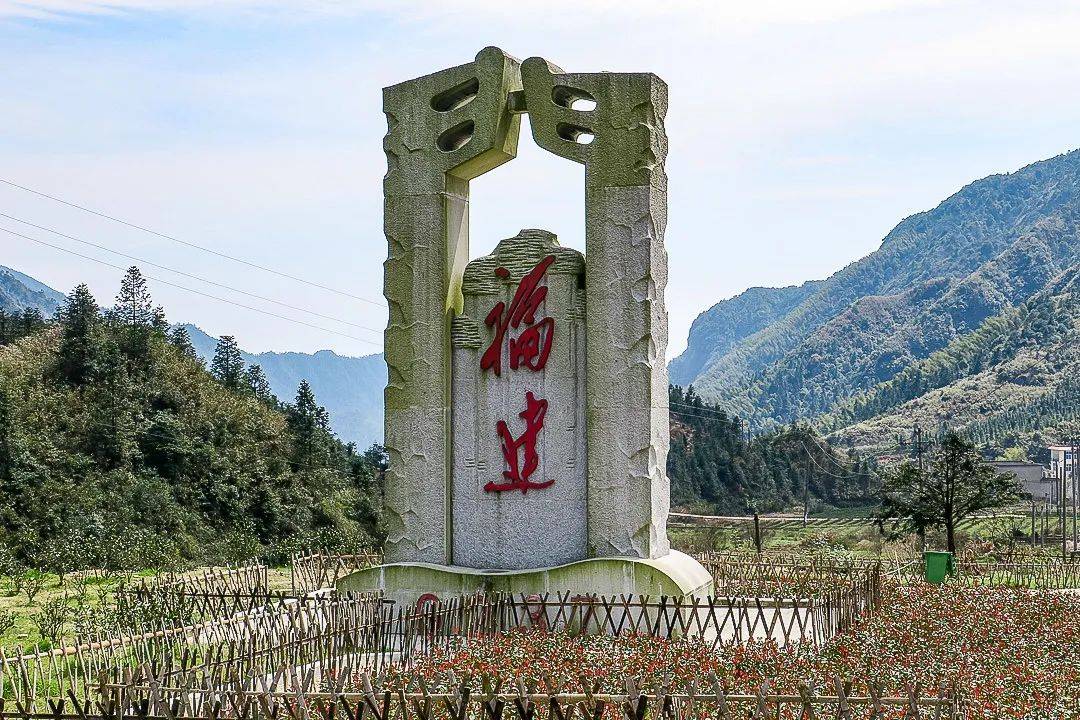 铅山武夷山拥有双遗产地祖辈三代世代茶农茶树树龄百年