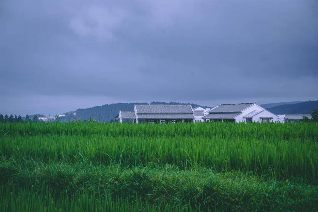 微風細雨,藏在山谷裡的詩意