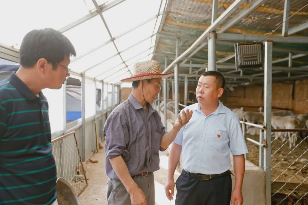 右一:田富裕 中间:韩凤祥 左一:张建起