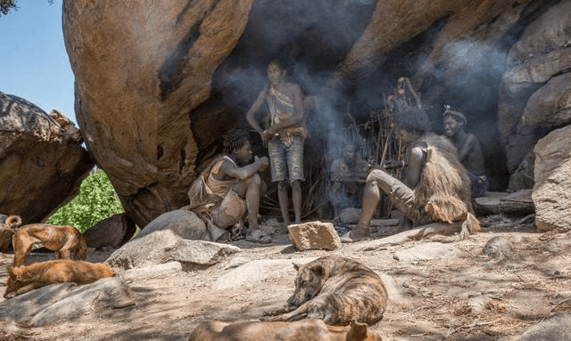 "饮热血,啖生肉"在大家印象中,这都是原始人的吃法,自从人类发现了