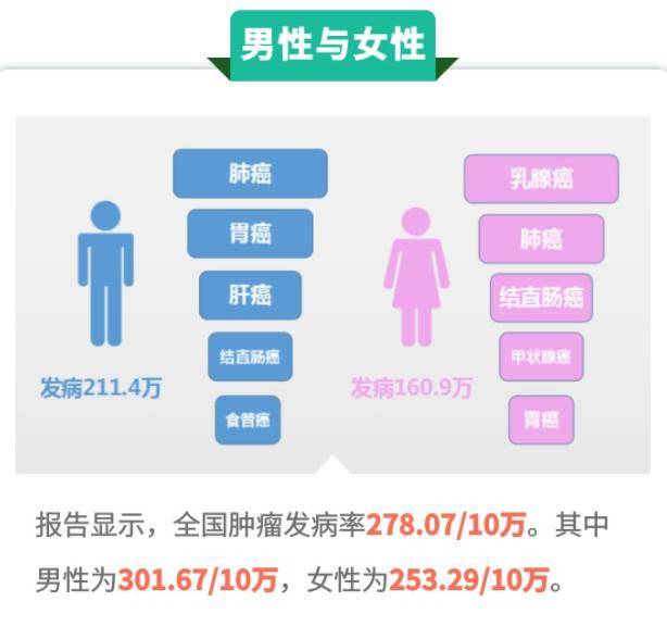 我們可以得出,最常見的4種高發病率癌症就是:肺癌,胃癌,腸癌,肝癌