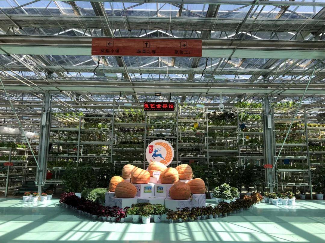 原创精品案例 | 大同农业嘉年华