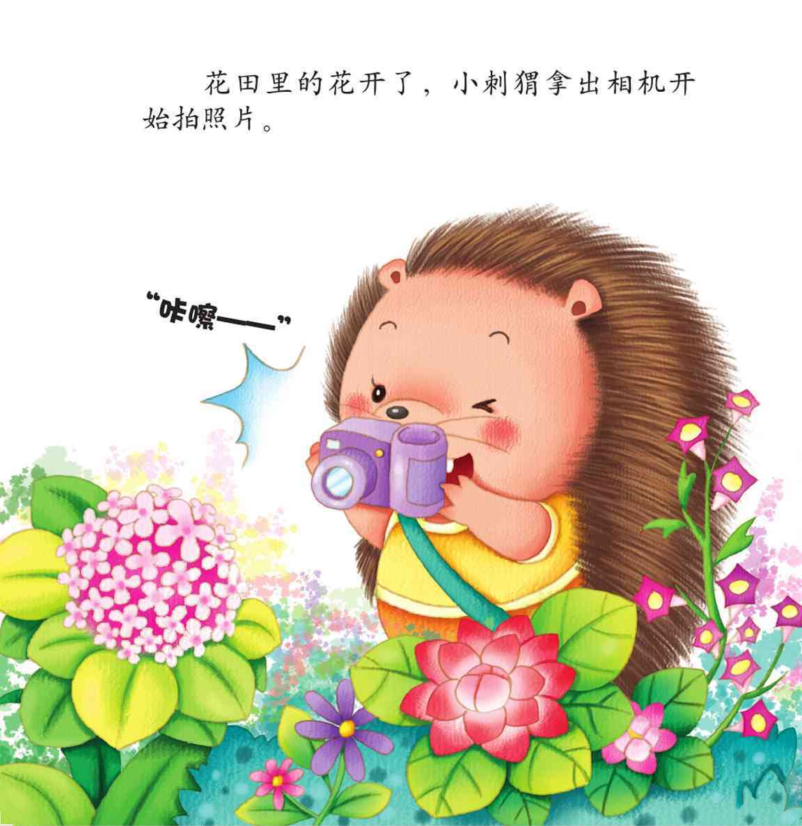 儿童绘本故事推荐《我的身体》