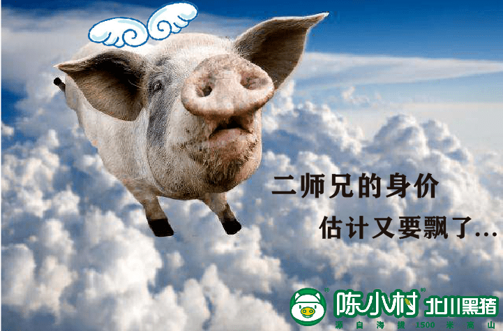 暂停5国的猪肉进口,估计二师兄身价又要飘了