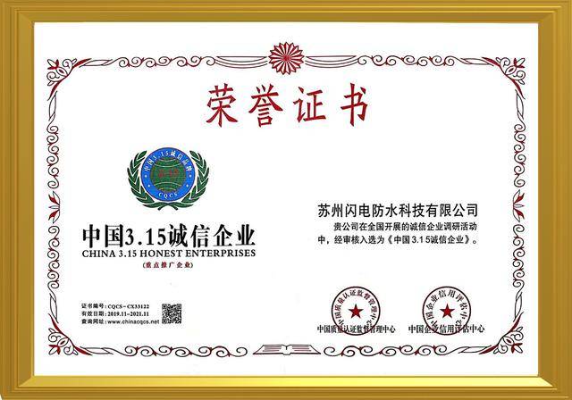 闪电优家 荣誉证书