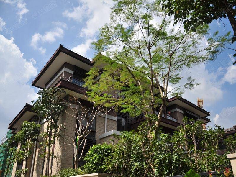 坐拥香港上百套房却一直不租不卖放在那里如今价值几千亿