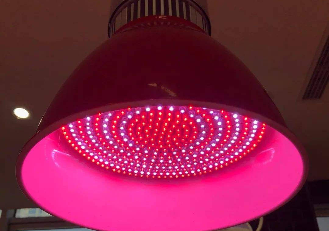 猪肉红光灯!绝大多猪肉摊上都使用了加了红色灯罩.