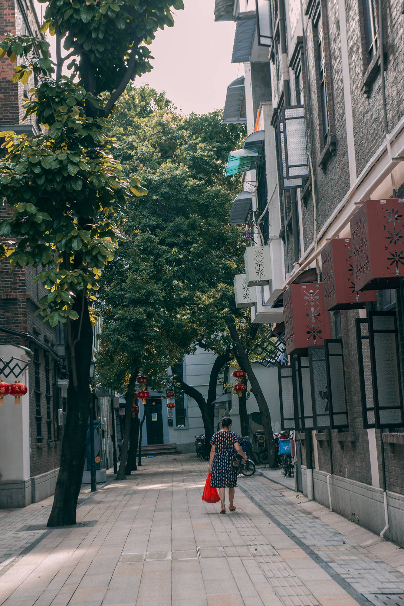 低调,可它的历史,它的故事,它的内涵,正是由此吸引了《三家巷》的导演