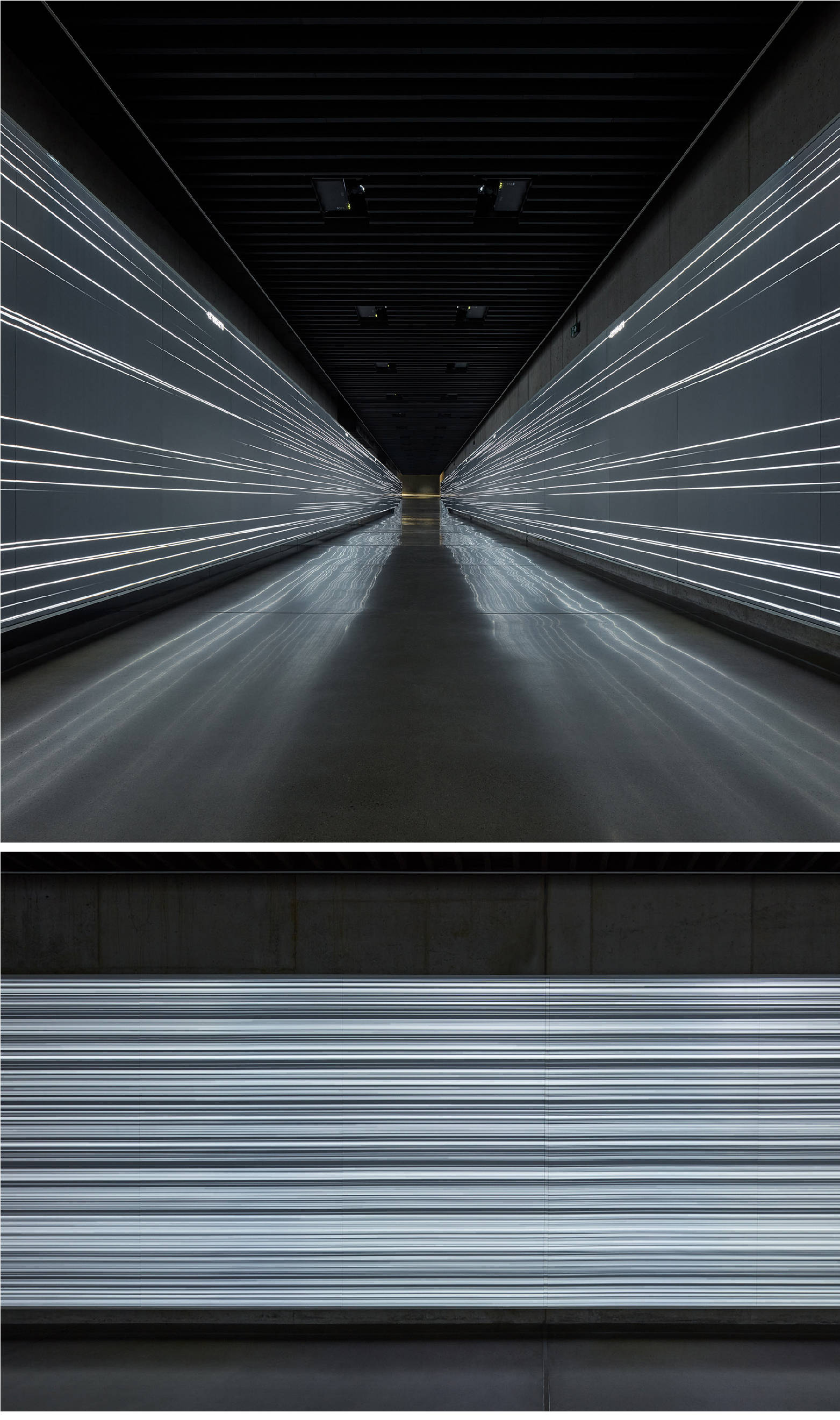 艺术视野 | "历史瞬间,时光走廊"