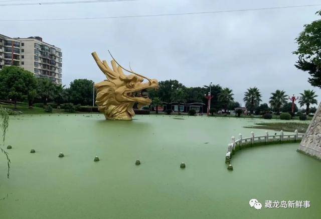 藏龙岛龙头水位上升