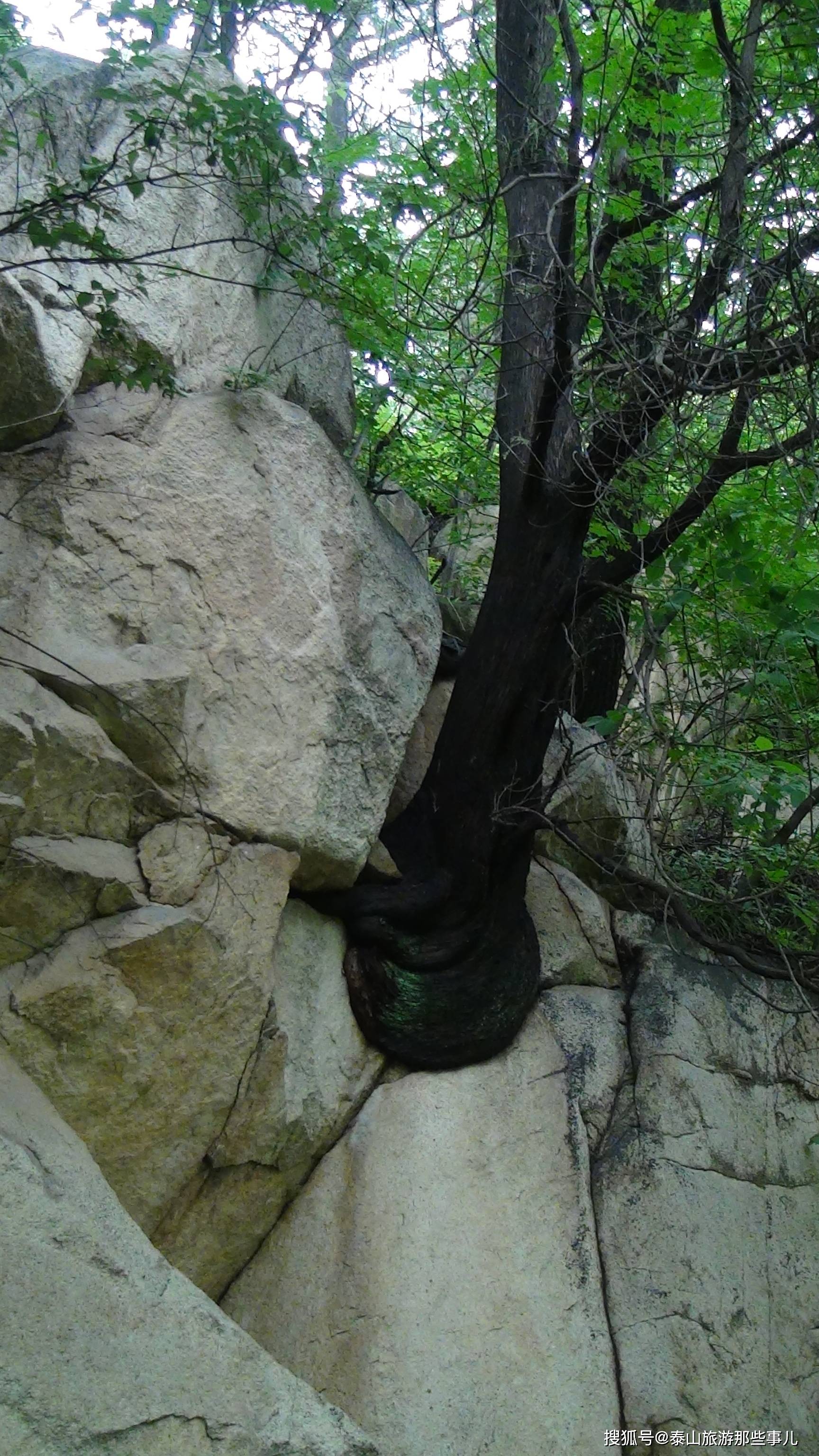 泰山又一景点被发现,风景如画,避暑胜境!