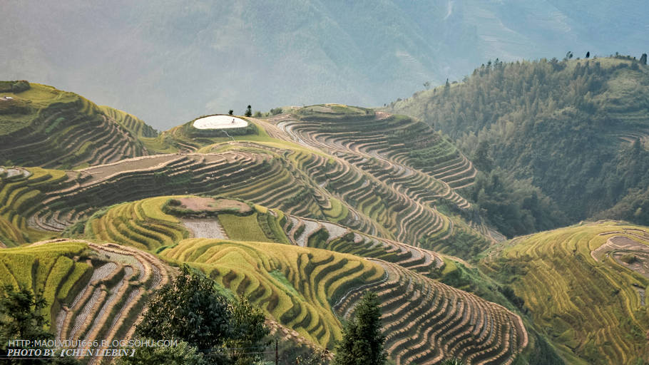 广西-龙脊梯田-七星伴月
