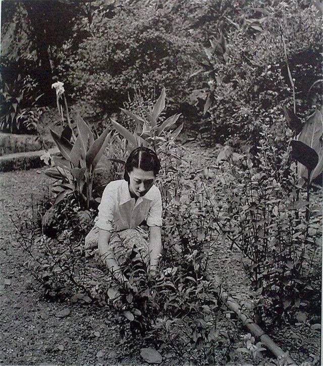 老照片还原张学良妻子赵四小姐的真实容貌,不得不承认她的很美_手机搜