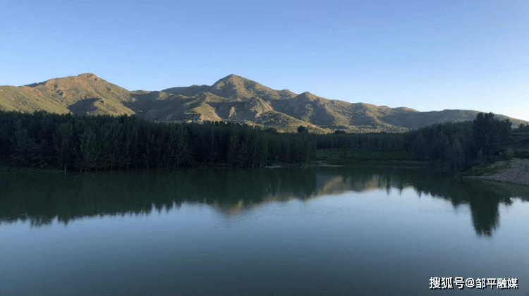 山东邹平:党支部领办合作社壮大村级集体经济