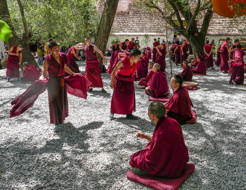美国严教授青藏行 —— 哲蚌寺,色拉寺
