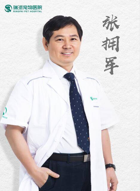 瑞派宠物医院领军专家团赋能智慧兽医