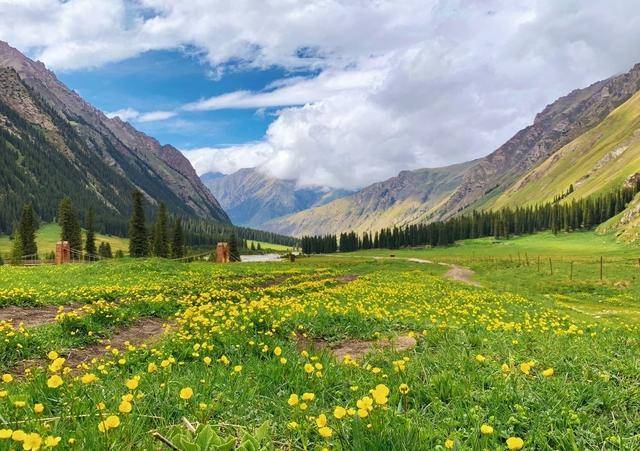 暑假就要疯着玩绝美独库蓝天碧野三大草原一路美景毕生难忘