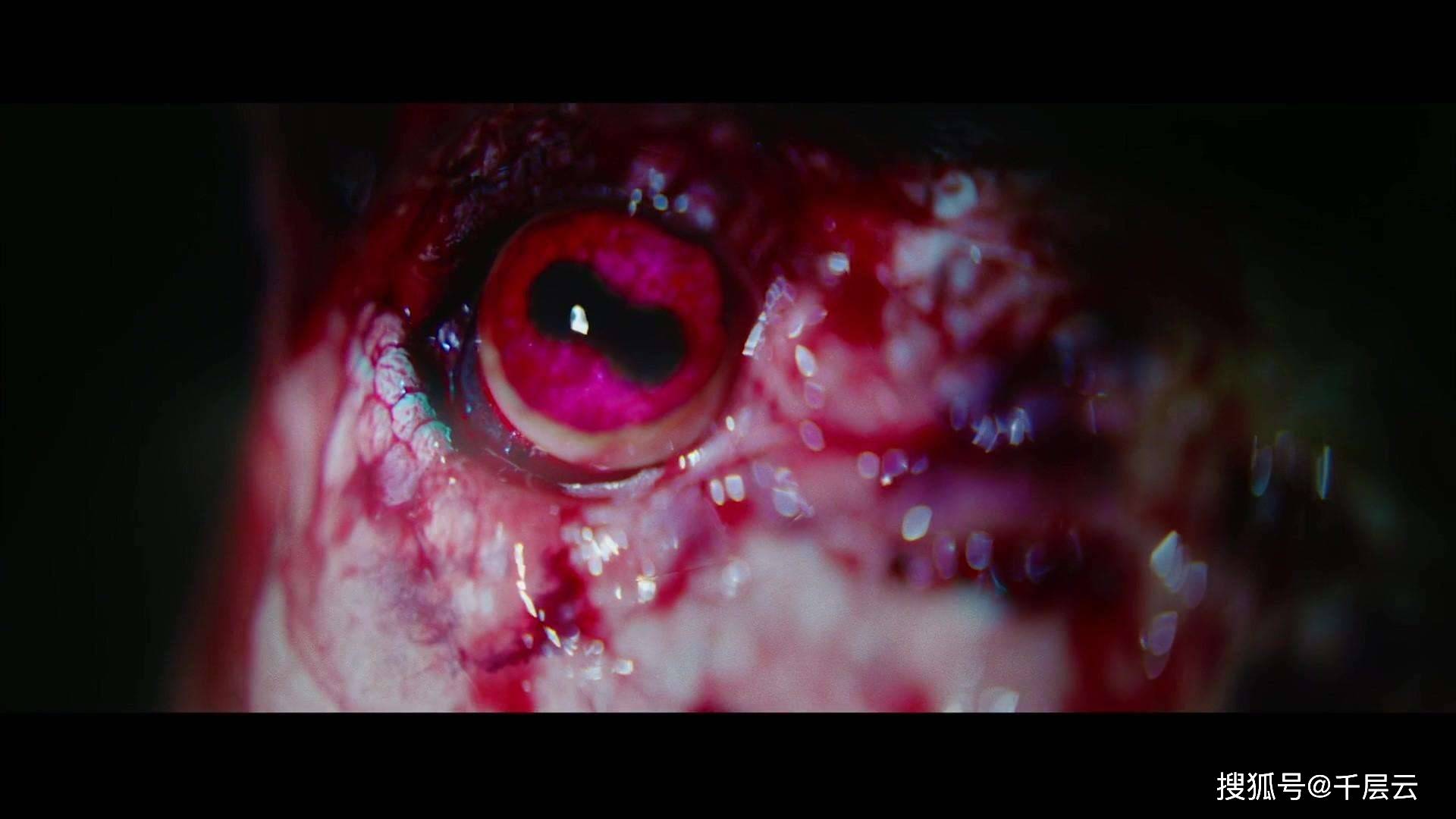 尼古拉斯凯奇新惊悚片《星之彩》